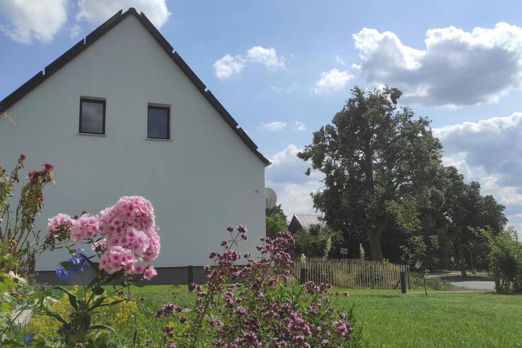 Storchennest - Ferienwohnung Am Storchenradweg Ketzur Exterior photo